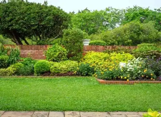 landscaping services Pikeville